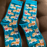 Dog Adult Collie , sausage  Breed Socks