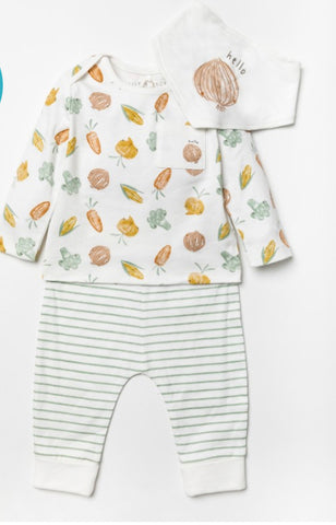 Organic vegetable Baby Set
