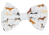 Dachshund / sausage dog Sass & Woof Collection