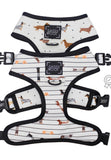 Dachshund / sausage dog Sass & Woof Collection