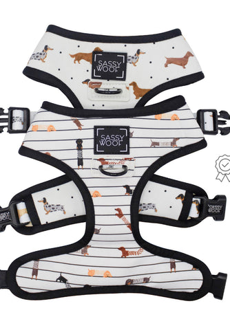 Dachshund / sausage dog Sass & Woof Collection