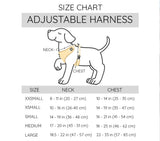 Dachshund / sausage dog Sass & Woof Collection