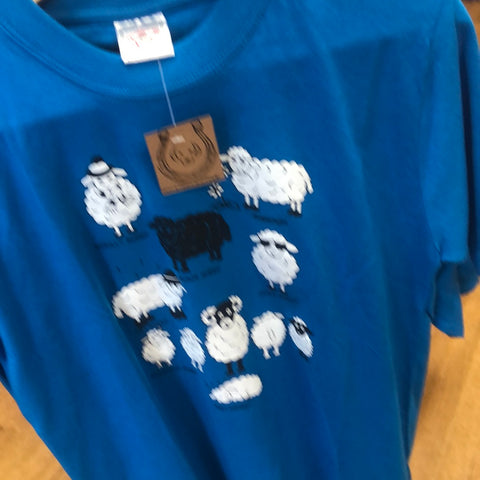 All kinds of sheep age 11-12 only t shirt