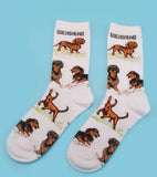 Dog Adult Collie , sausage  Breed Socks