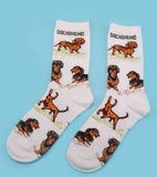 Dog Adult Breed Socks